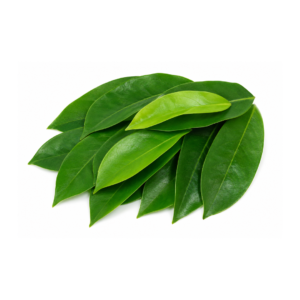 Soursop Green Leaves - 100 NOS
