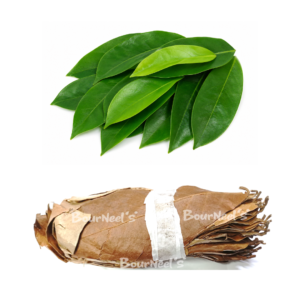 Soursop Leaves Combo Pack of 2 (50 Green Leaves + 50 Dry Leaves)
