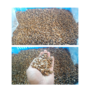 Soursop Seeds Pack of 1 Kg (Approx. 2000-2500 Loose Seeds) - Image 3