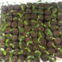Soursop Seeds Pack of 1 Kg (Approx. 2000-2500 Loose Seeds) - Image 4