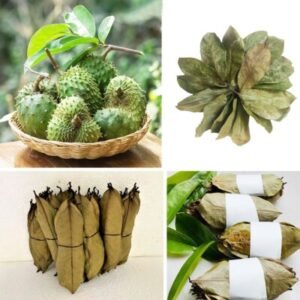 Soursop Dry Leaves 1 KG ( Approx. 2500 Leaves as per Size)